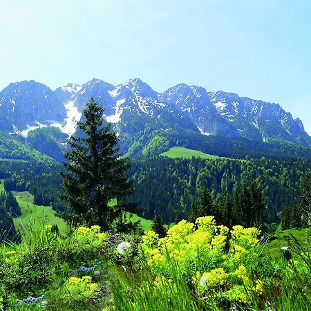 Gastehaus Holzner * Walchsee